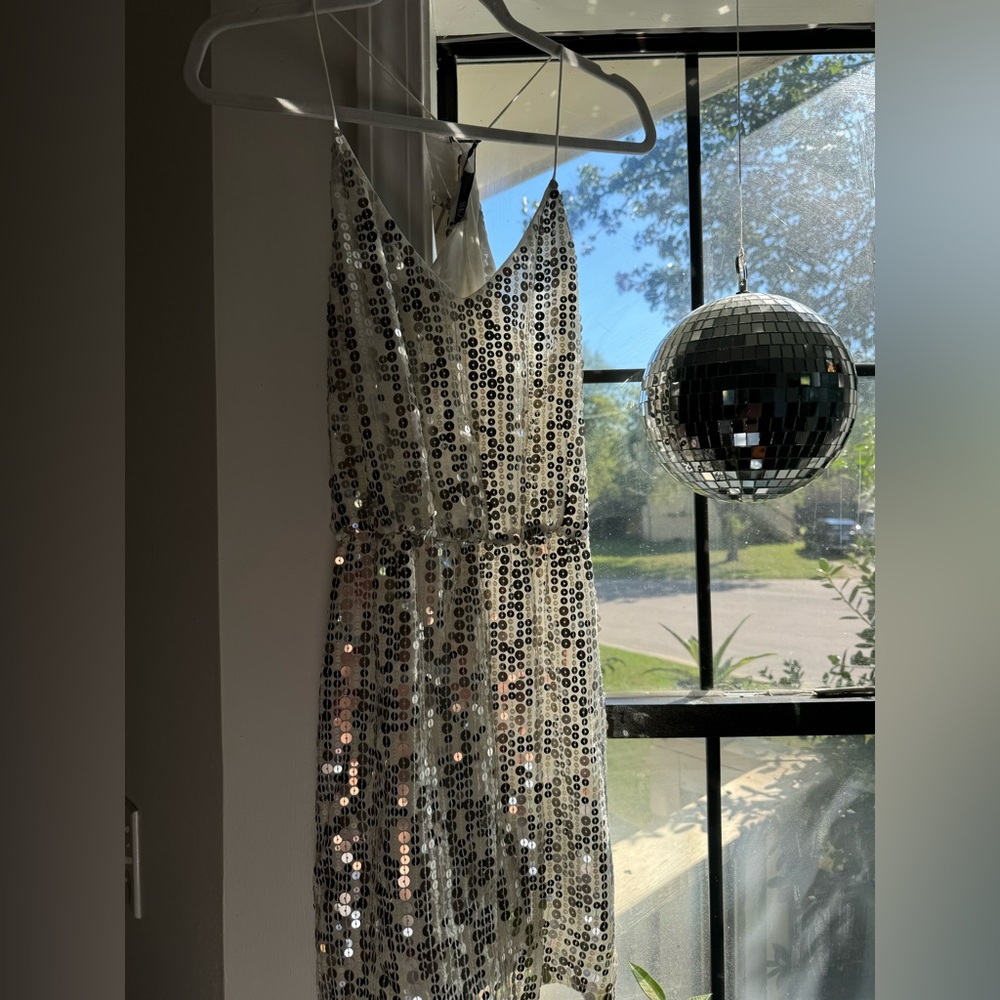 Zara Silver Sequin Top